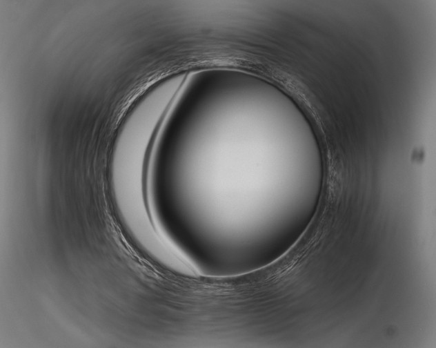 X0000116840386200912181502