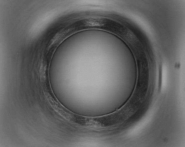 X0000116840387200912181502