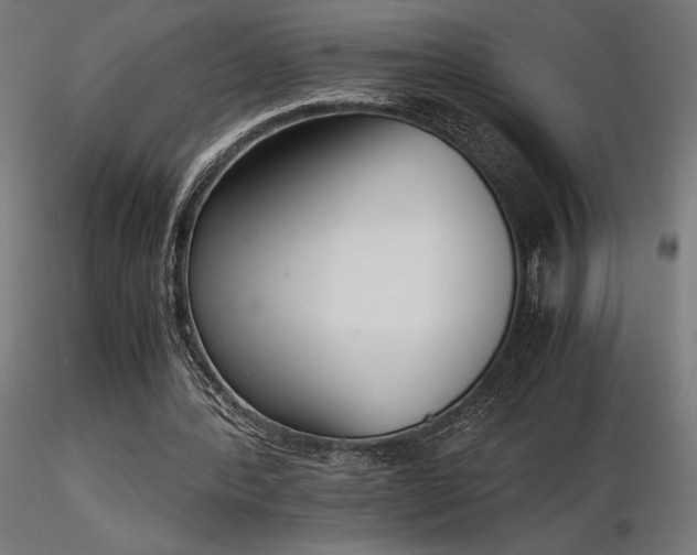 X0000116840388200912181502
