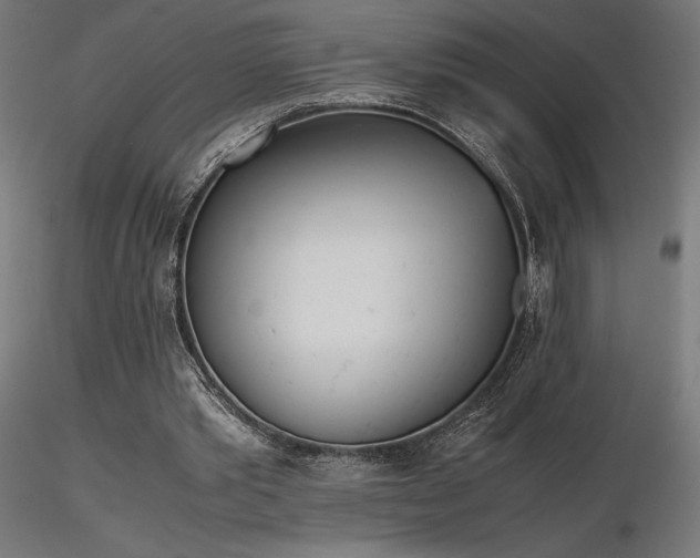 X0000116840389200912181502