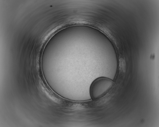 X0000116840390200912181502