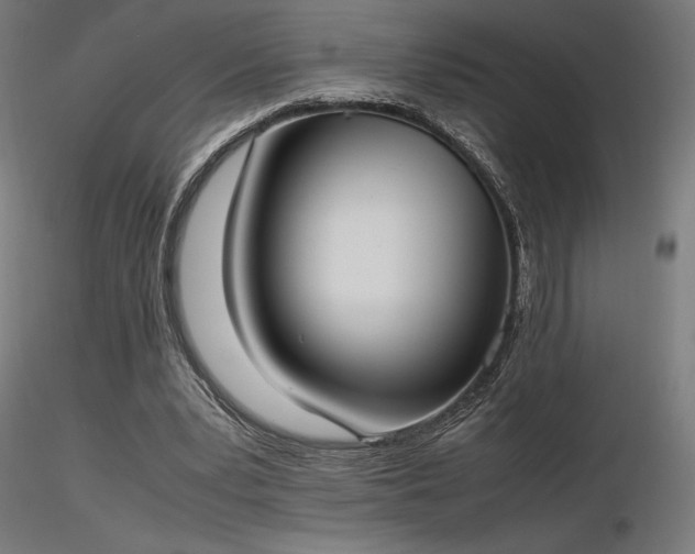 X0000116840391200912181502