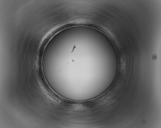 X0000116840392200912181502