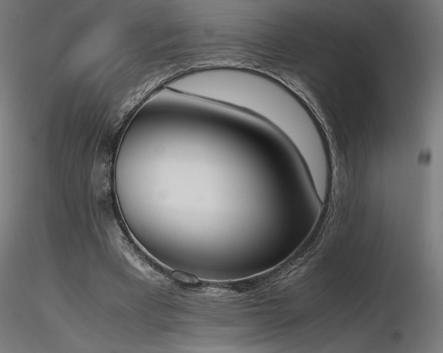 X0000116840393200912181502