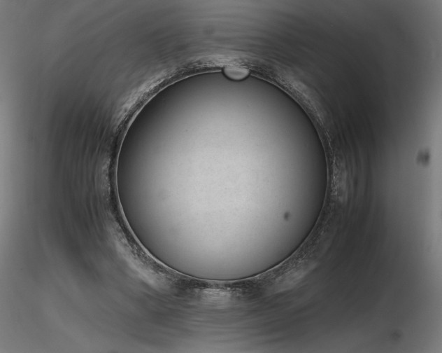 X0000116840394200912181502