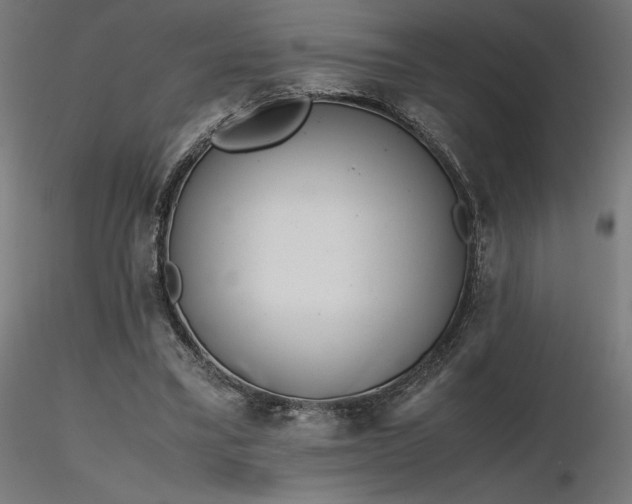 X0000116840395200912181502