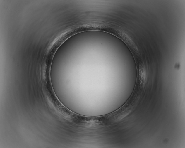 X0000116840396200912181502