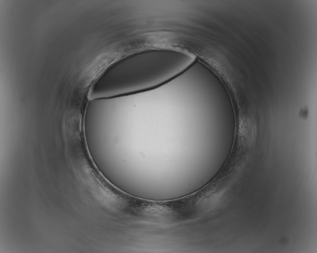 X0000116840397200912181502