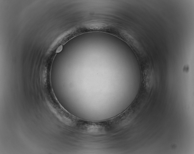 X0000116840400200912181502