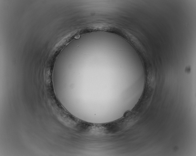 X0000116840403200912181502