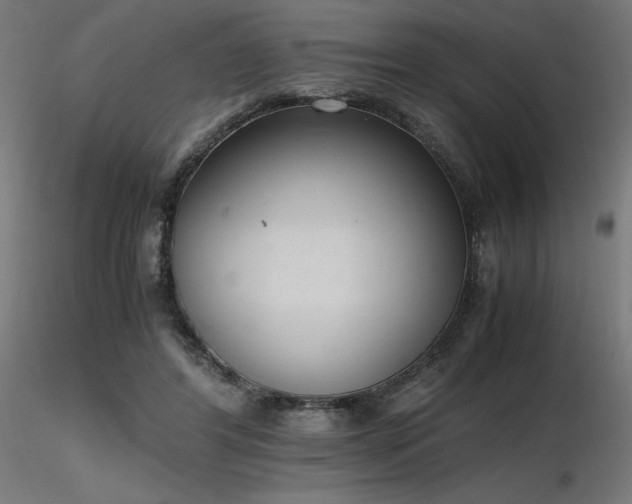 X0000116840404200912181502