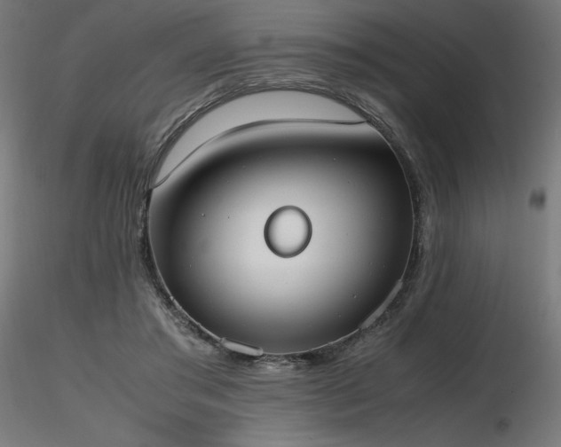 X0000116840405200912181502