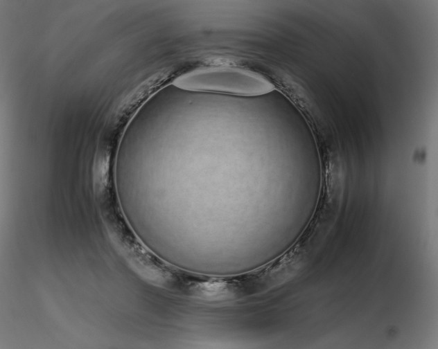 X0000116840406200912181502