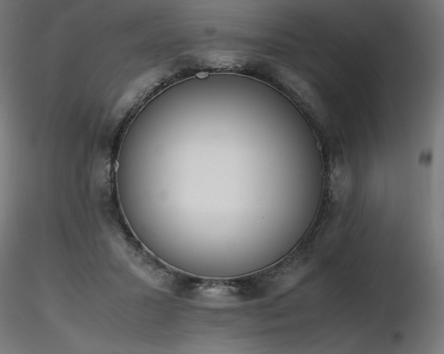 X0000116840407200912181502