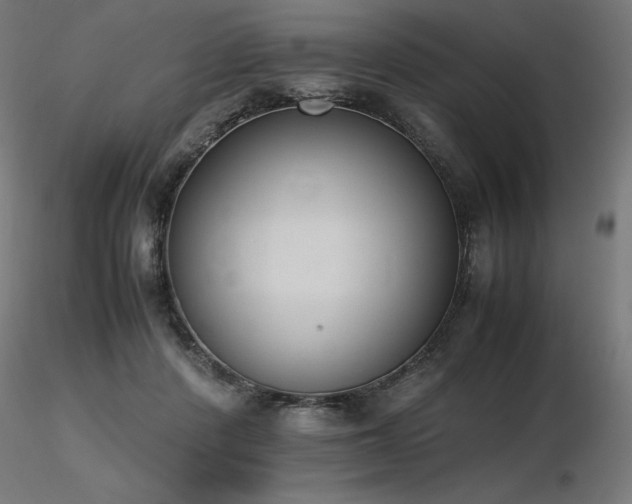 X0000116840408200912181502