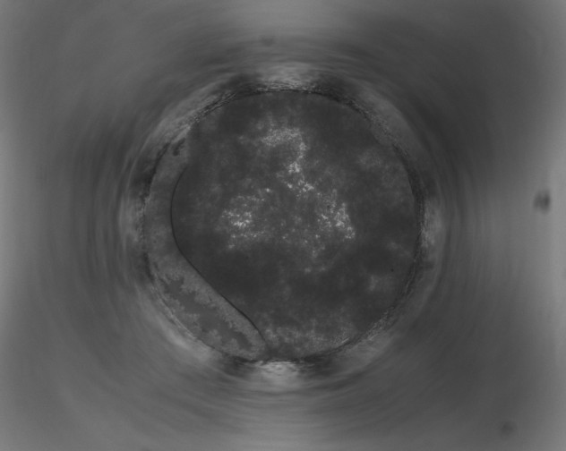 X0000116840409200912181502