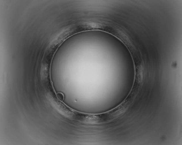 X0000116840410200912181502