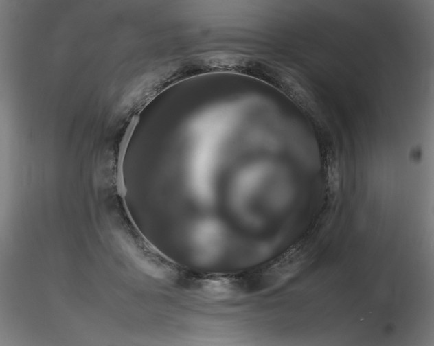 X0000116840411200912181502