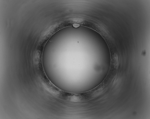 X0000116840412200912181502
