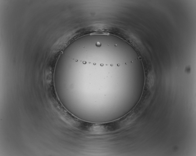 X0000116840413200912181502