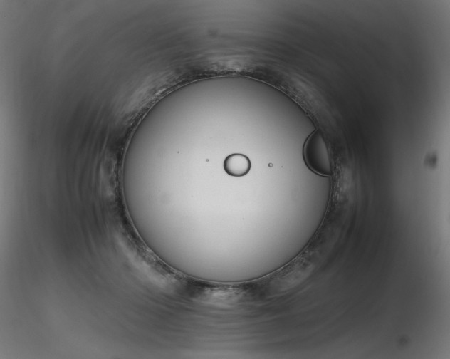 X0000116840414200912181502