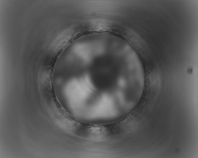 X0000116840415200912181502
