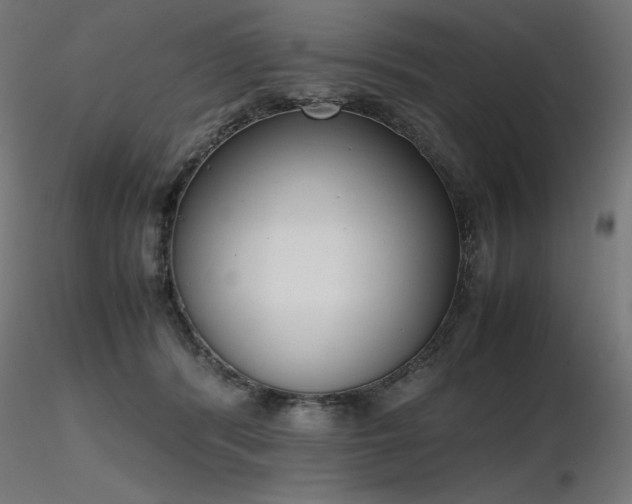 X0000116840416200912181502