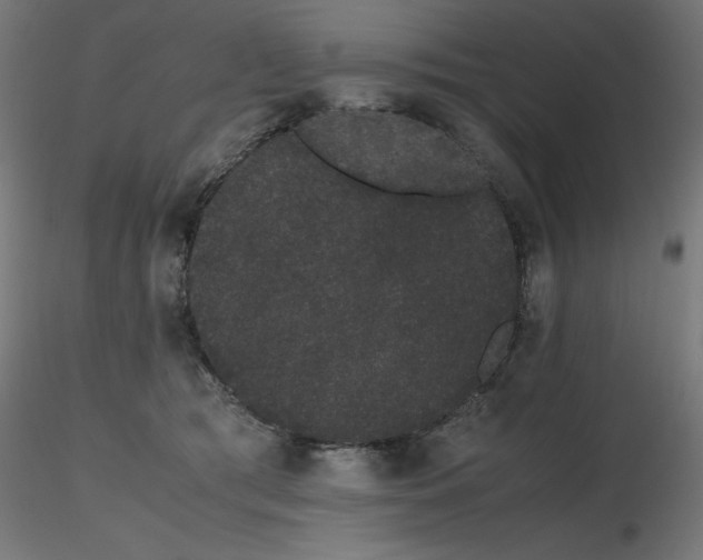 X0000116840417200912181502