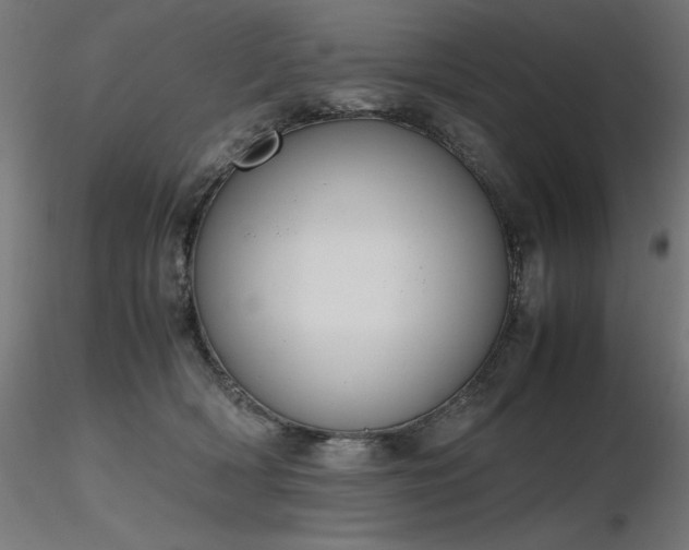 X0000116840418200912181502