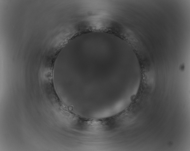 X0000116840419200912181502