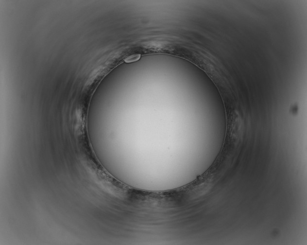 X0000116840420200912181502