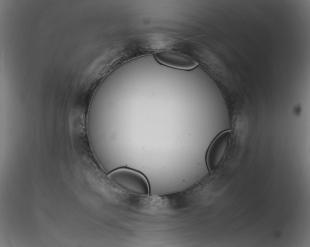 X0000116840421200912181502