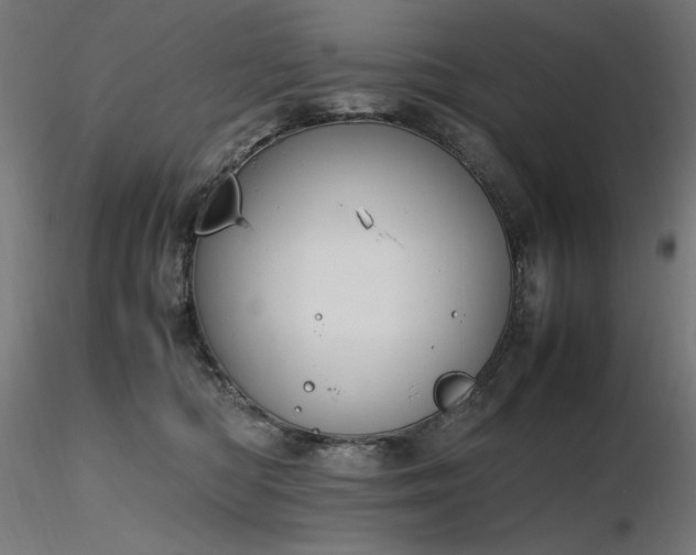 X0000116840422200912181502