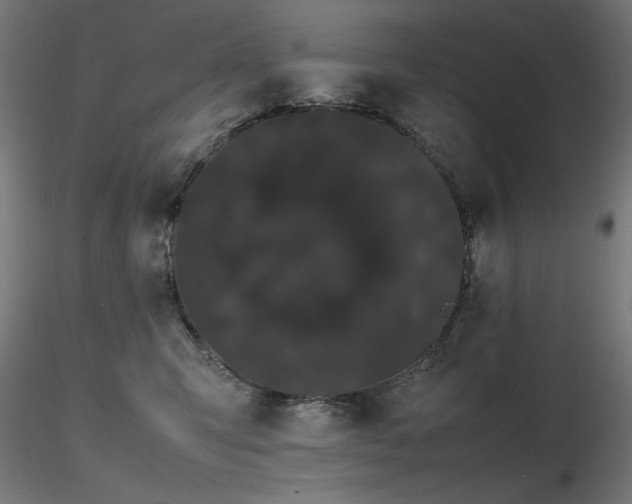 X0000116840423200912181502