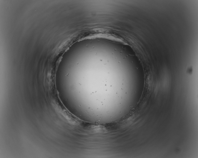 X0000116840424200912181502