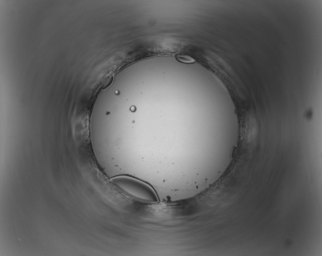 X0000116840425200912181502
