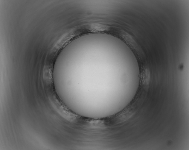 X0000116840426200912181502