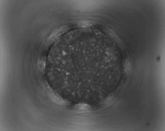 X0000116840427200912181502