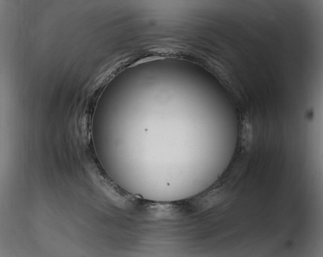 X0000116840428200912181502