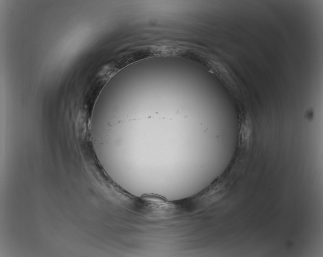 X0000116840429200912181502