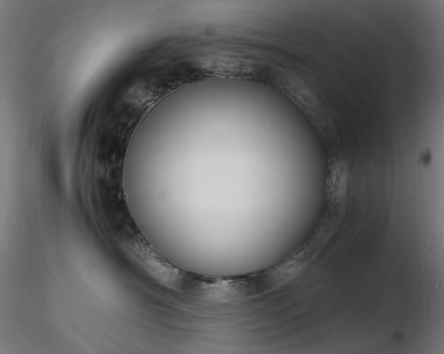 X0000116840430200912181502