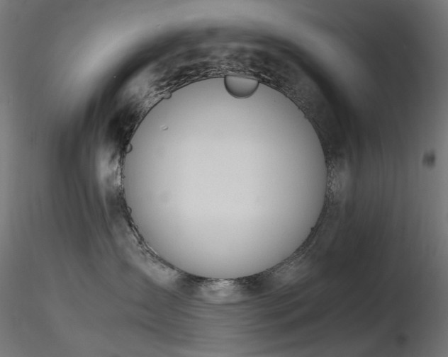 X0000116840431200912181502