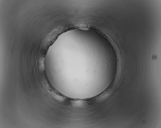 X0000116840432200912181502