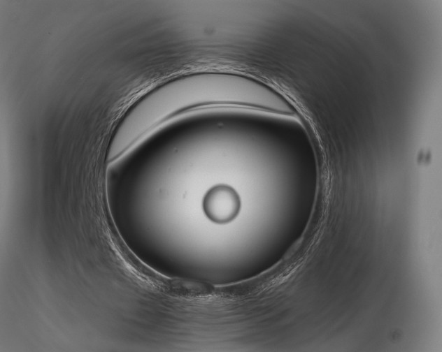 X0000116840433200912181501