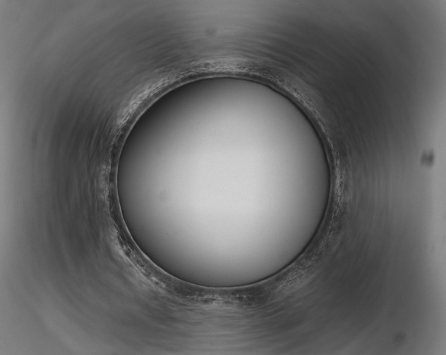X0000116840434200912181501