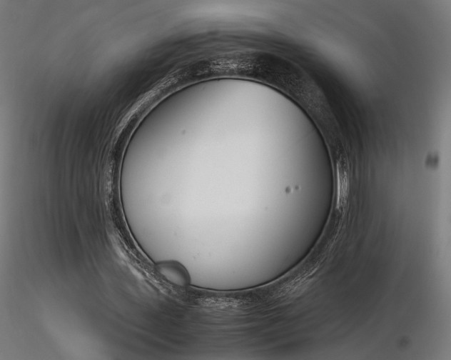 X0000116840435200912181501