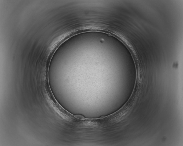 X0000116840437200912181501