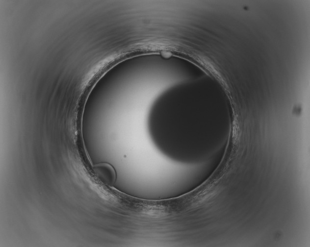 X0000116840438200912181501