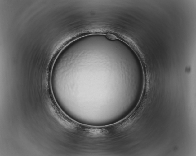 X0000116840439200912181501