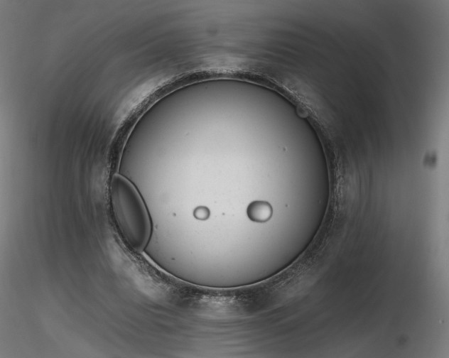 X0000116840440200912181501